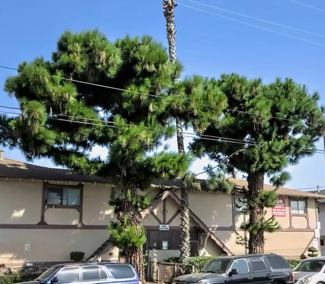 Greenwood Apartments — Photo 1
