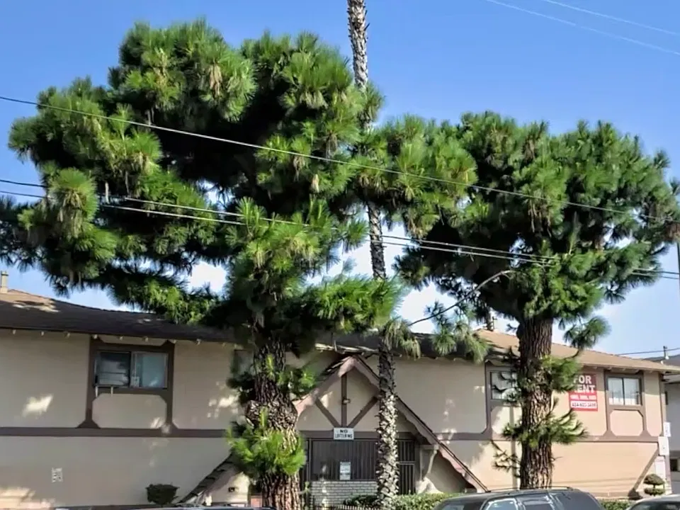 Greenwood Apartments