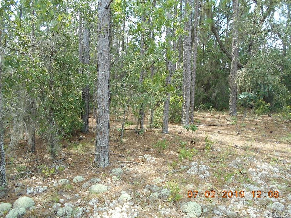 2nd image of 12391 S Elm Point