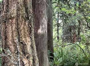 0 Hoffman Rd NE, Kingston, WA 98346