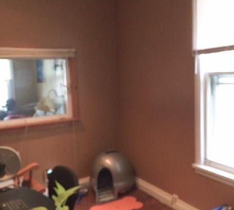 5th image of 420 Greenwood Pl #1