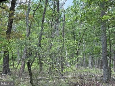 0 N Pioneer Ln, Augusta, WV, 26704