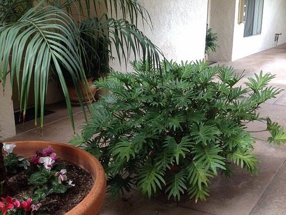 Entrance to apartments