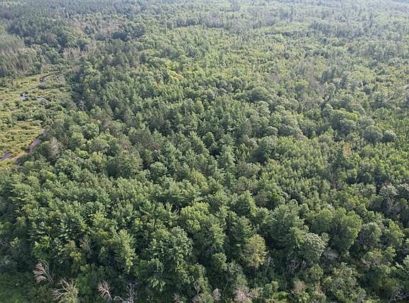 4th image of 80 Acres Copper Mine Road