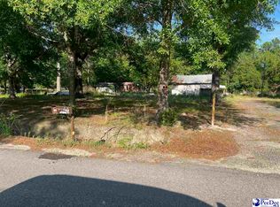 2332 S Point Rd, Effingham, SC 29541
