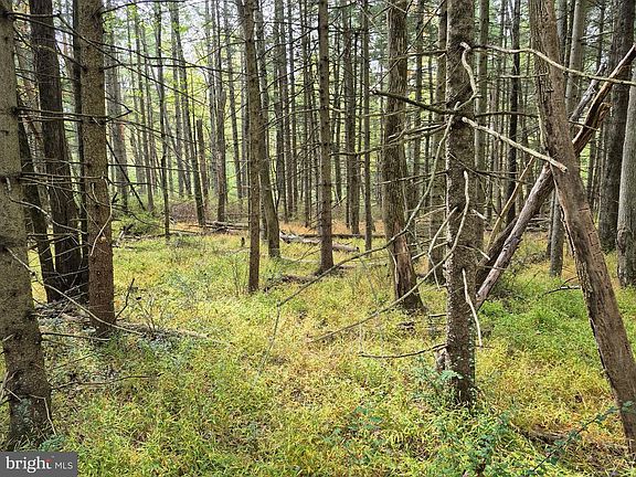 5th image of Millheim Rd