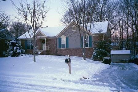 Winter