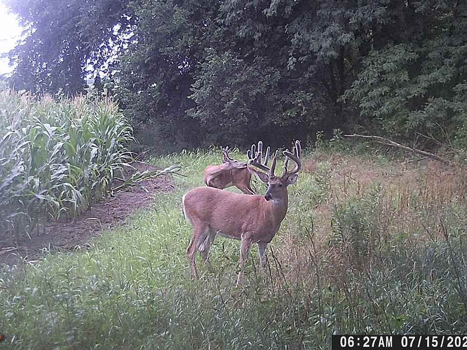2nd image of 0 Emmons Creek Rd