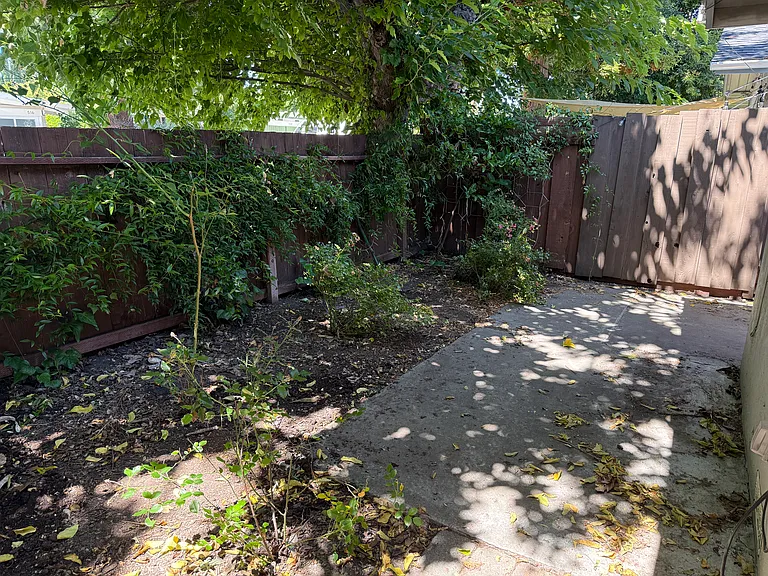 517C Thompson Ave — Photo 6