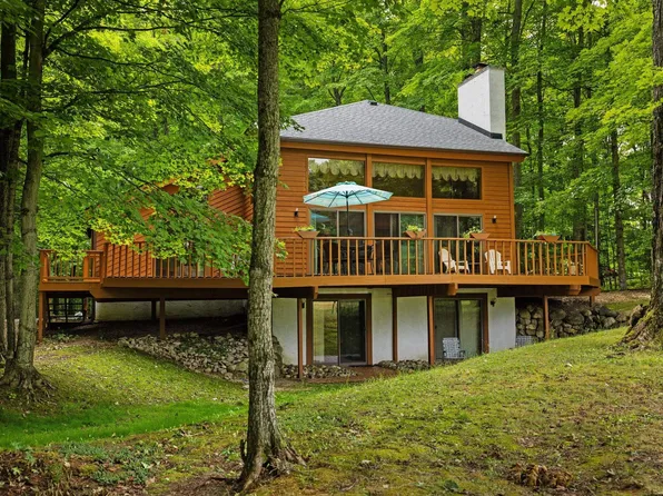 6842 Rue De Montagne, Mancelona, MI 49659
