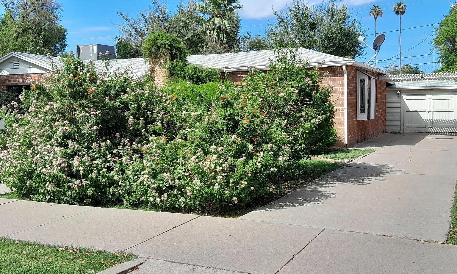 1022 S Maple Ave — Photo 3