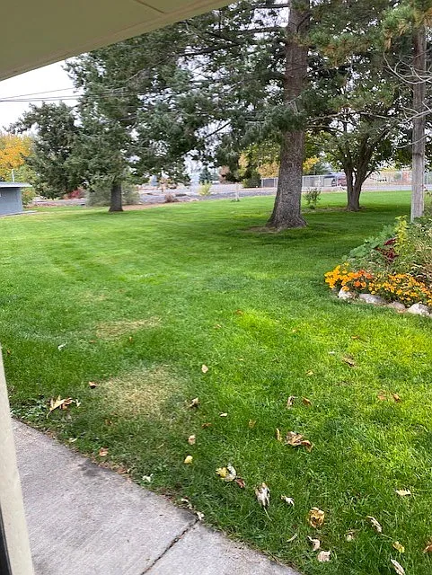 1 bed, $800 — Photo 3