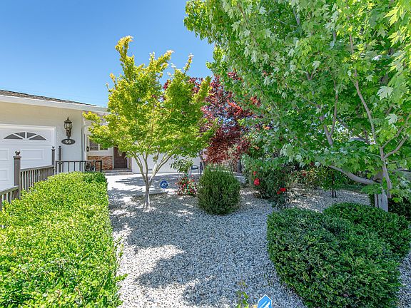 Front yard garden for privacy.