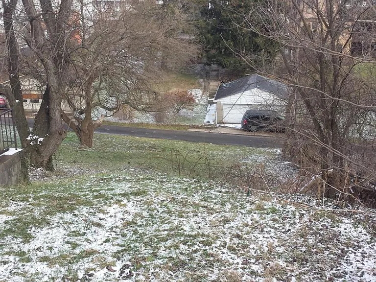 View of Back yard
