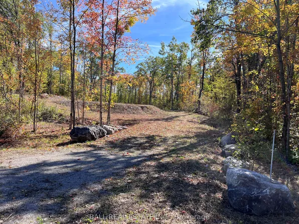 8 Hickson Rd, Douro Dummer, ON K0L 2V0