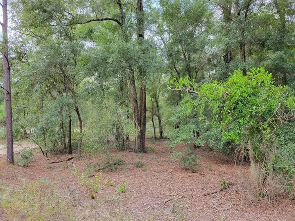 Lots 55 59 Northwest Pl #16, Ocala, FL 34482