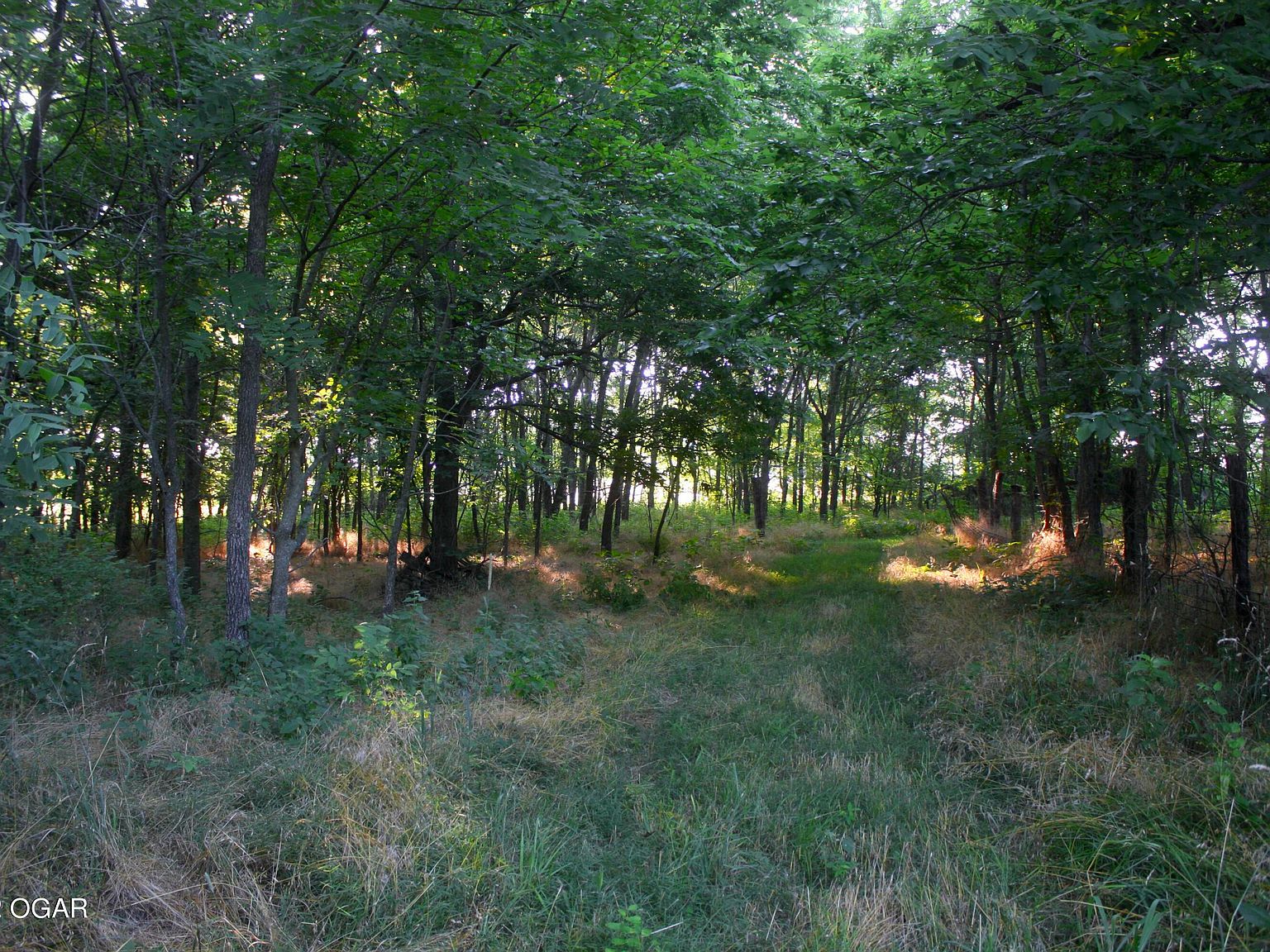 100 Highway Y, Arcola, MO 65603 Zillow