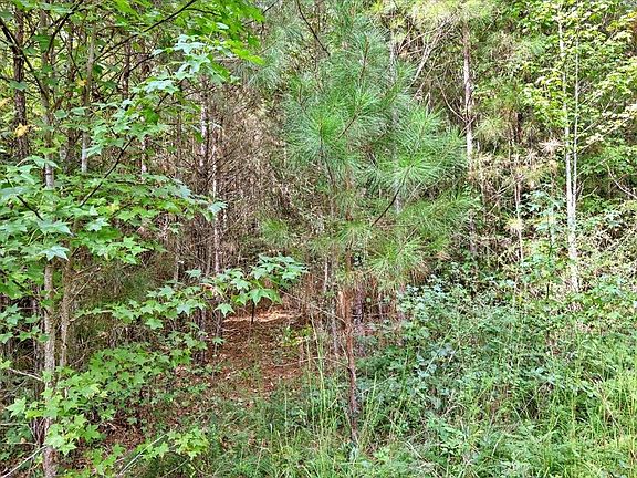 4th image of 0 County Road 351