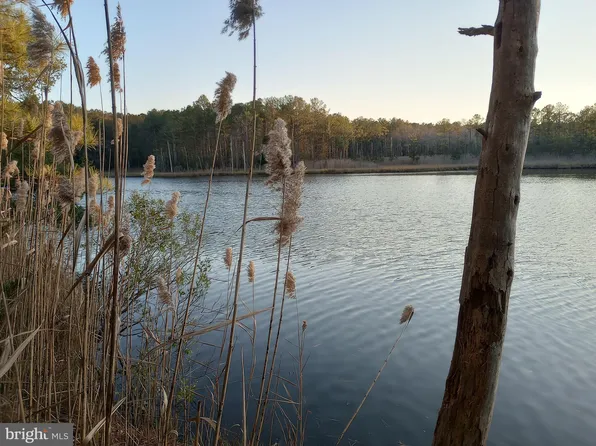 LOT 7 Croppers Island Rd, Newark, MD 21841