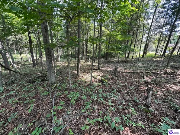 LOT 376 Songbird Ln, Brandenburg, KY 40108