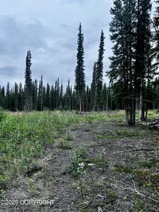 L13 Borealis Ave, Tok, AK, 99780