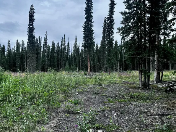 L13 Borealis Ave, Tok, AK 99780