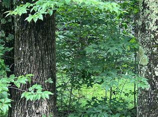 Mountaineer Hwy, Parsons, WV 26287