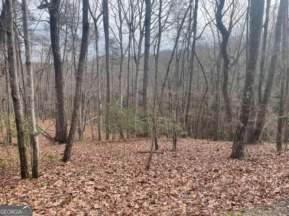 0 Geneva Pl, Sautee Nacoochee, GA 30571