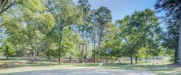 217 Cherry Tree — Photo 43