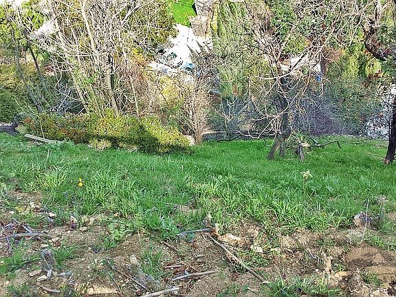 4th image of 428 Quail Dr