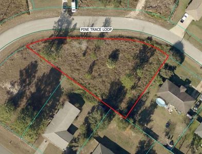 Pine Trace Loop Lot 10, Ocala, FL, 34472