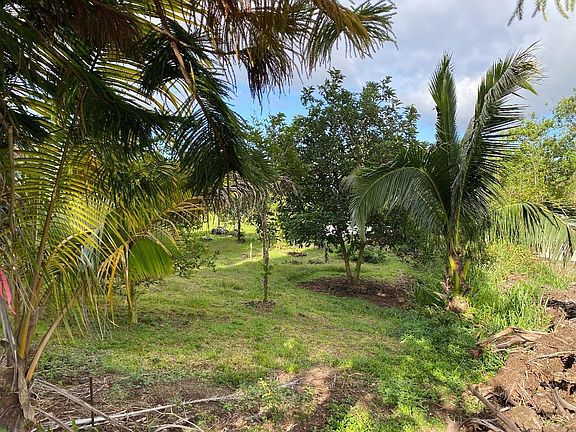 2nd image of 18th Avenue Maia Lot 466