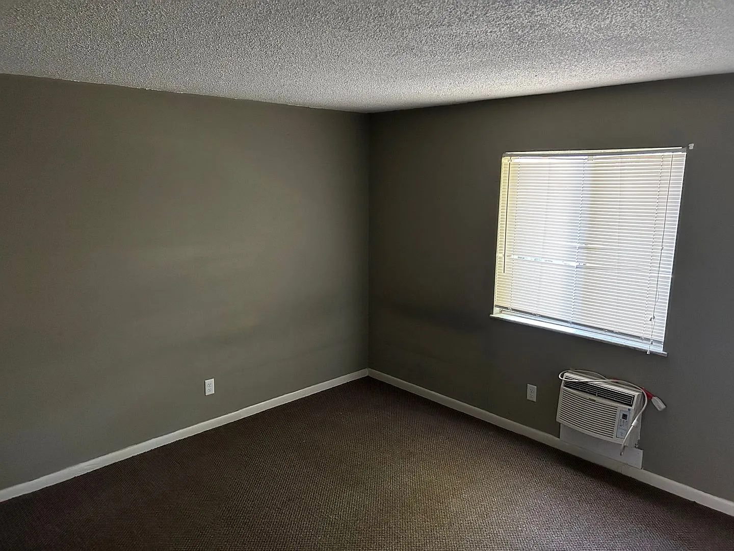 217 N Hamilton Apt 8 — Photo 4