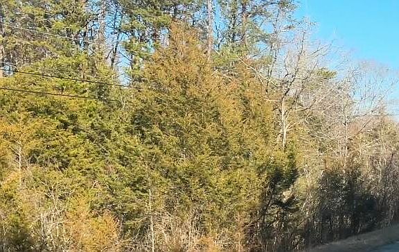 2nd image of 0 Alex Bales Rd Lot 1