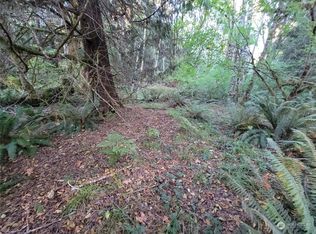 0 NE Rendsland Creek Rd, Tahuya, WA 98588