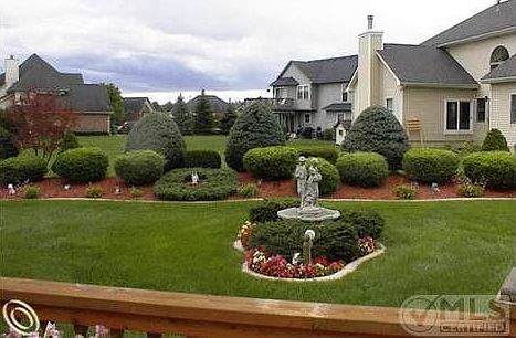 Back Yard.JPG