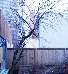 Rented by Avenue Sotheby's International Realty