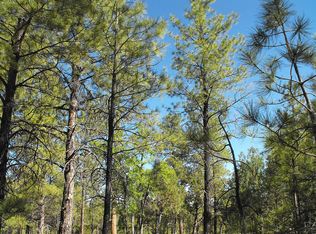 2874 Timber Ridge Cir, Happy Jack, AZ 86024