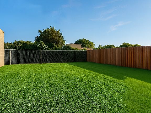 Backyard 2