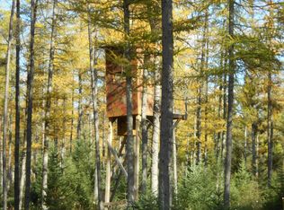 Park Ave, Antigo, WI 54409