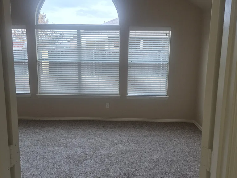709 Shady Meadow Ln — Photo 6