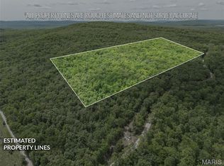 1 Buck Mountain Rd, Doe Run, MO 63637