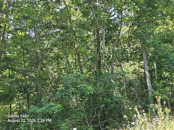 4th image of 3079 Pershing Dr