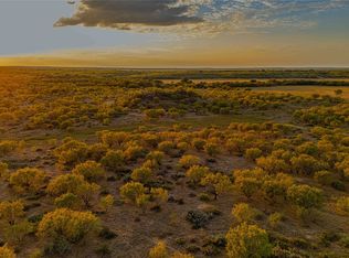 10579 Private Road 3151, Moran, TX 76464