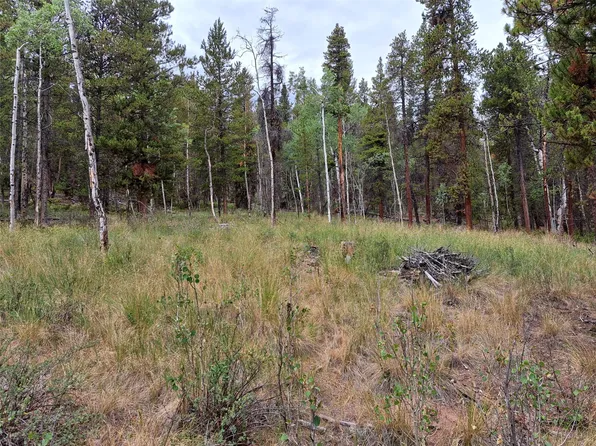 1201 Beaver Creek Road, Fairplay, CO 80440