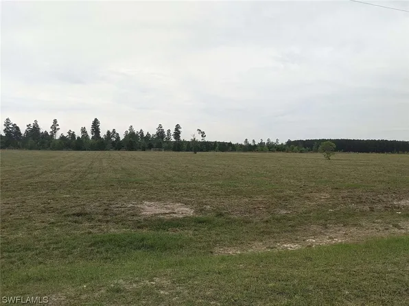 Undisclosed Ne Loblolly Trl, Lee, FL 32059