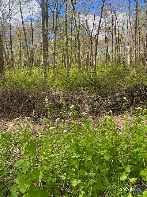 1st image of 0 Clark Hill Road