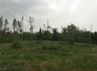385 Lions Gate Dr, Winter Park, CO 80482