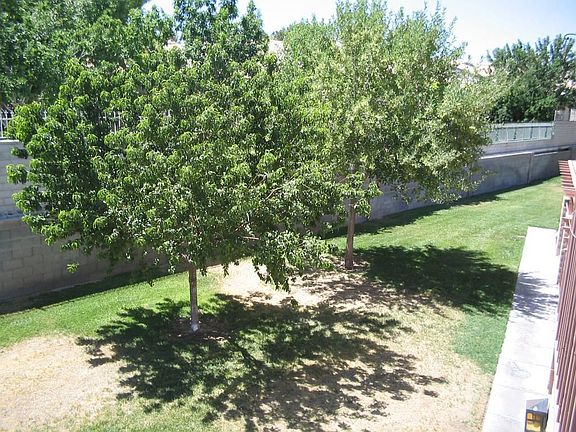 Grassy area outside condo