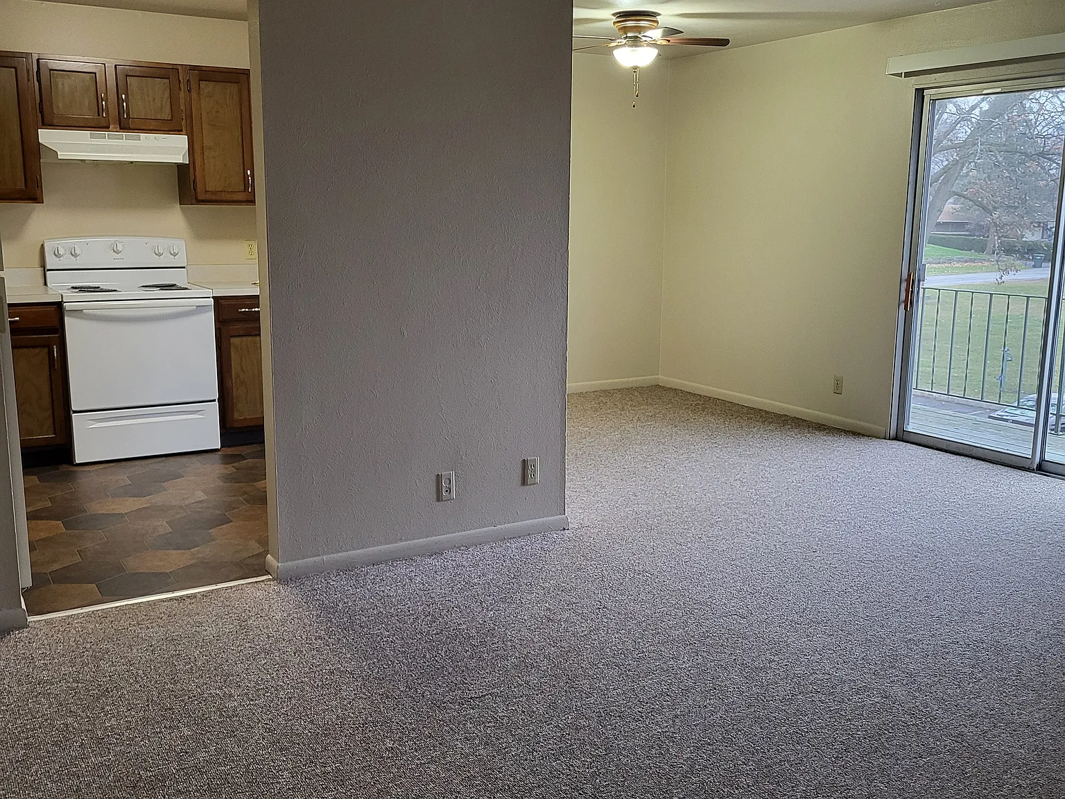 Village Terre Apartments — Photo 4